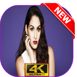 ikon Nikki wwe Bella Wallpaper HD