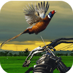 Pheasant Hunting: Archery Birds Hunter 2018 icon