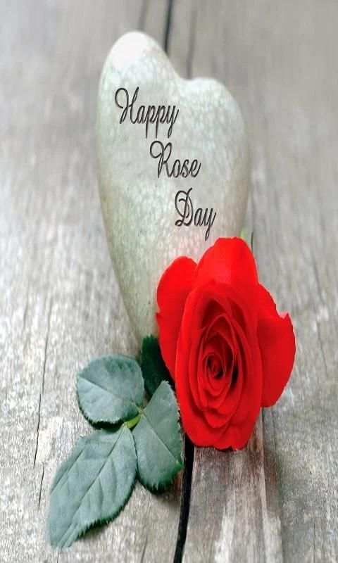 Happy Rose Day Images screenshot 1