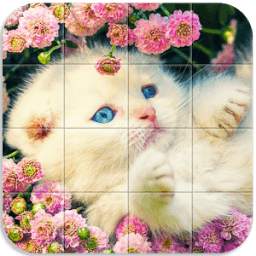 Tile Puzzle Cats