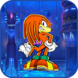 sonic versus knuckles icon