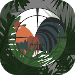 Bird Hunting Games. Sniper Hunter आइकन