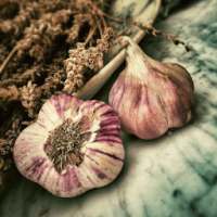 Garlic For Health on 9Apps