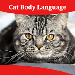 Cat Body Language आइकन