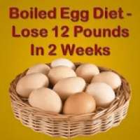 Boiled Egg Diet Plan * on 9Apps