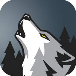 Lobo Browser 1.5.4-pro