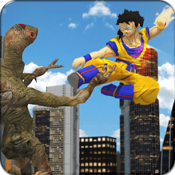 ikon Goku Street Fighting