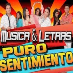 Musica Puro Sentimiento 8.2