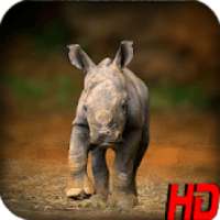 Wild Animal Wallpapers HD on 9Apps