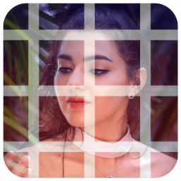 Fashion Photo Slice icon