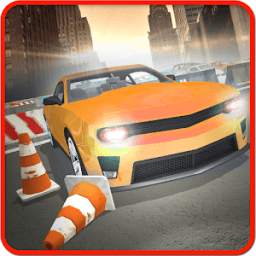 Future City Car Driving School Simulator 3D 2018