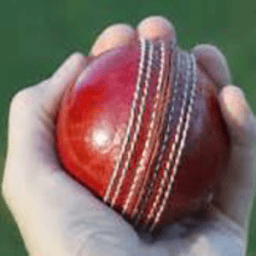 Dream11 Prediction आइकन