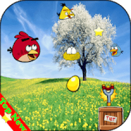 ikon Bird Cut Ballad