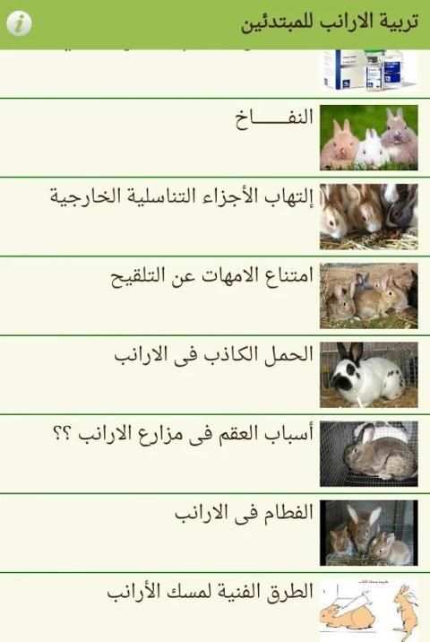 تربية الارانب للمبتدئين screenshot 1