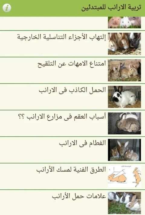 تربية الارانب للمبتدئين screenshot 2