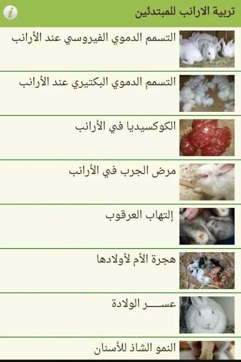 تربية الارانب للمبتدئين screenshot 3
