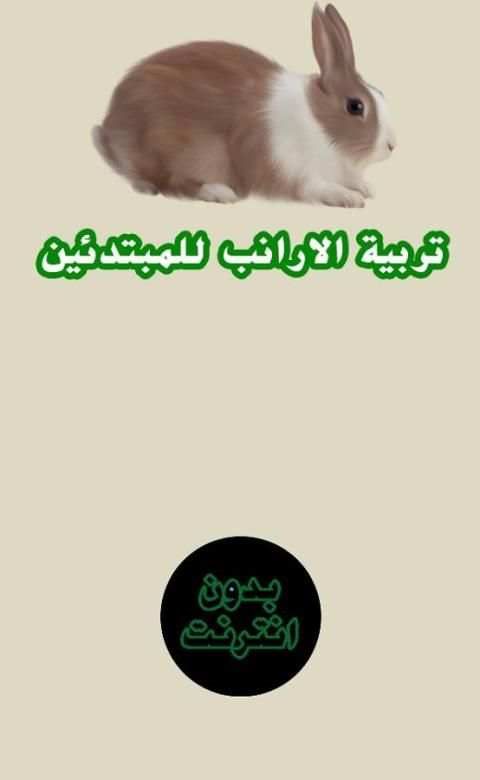 تربية الارانب للمبتدئين screenshot 4