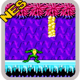 Battle toads Fighter Classic Game icon