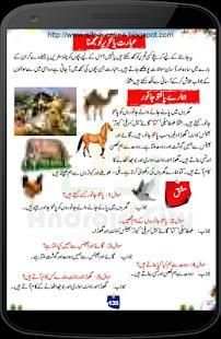 Urdu Grammar 1 2 3 4 5 Classes скриншот 4
