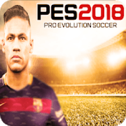 ikon Guide pes 2018