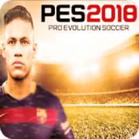 Guide pes 2018