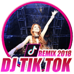 Dj Tik Tok 2018 icon
