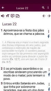 Bíblia de estudo * screenshot 41
