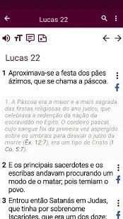 Bíblia de estudo * screenshot 41