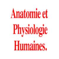 anatomie et physiologie humaines