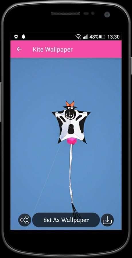 Kite Wallpaper screenshot 1