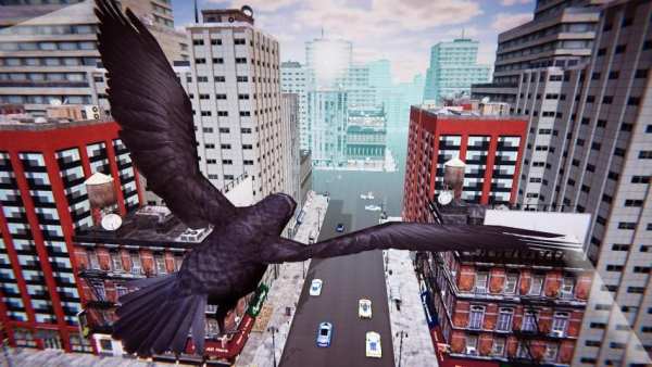 San Andreas Flying Bird screenshot 4