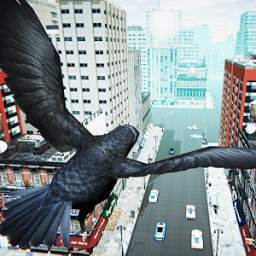 San Andreas Flying Bird 1.0