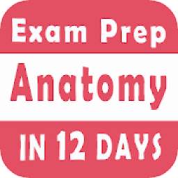 Anatomy Exam Prep in 12 days