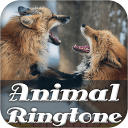 Animal Ringtone icon