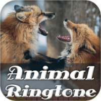 Animal Ringtone on 9Apps