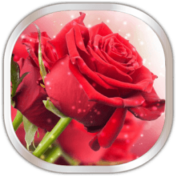 Rose Day sms - 2018 (Rose Day message) icon
