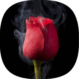 ikon black Wallpapers