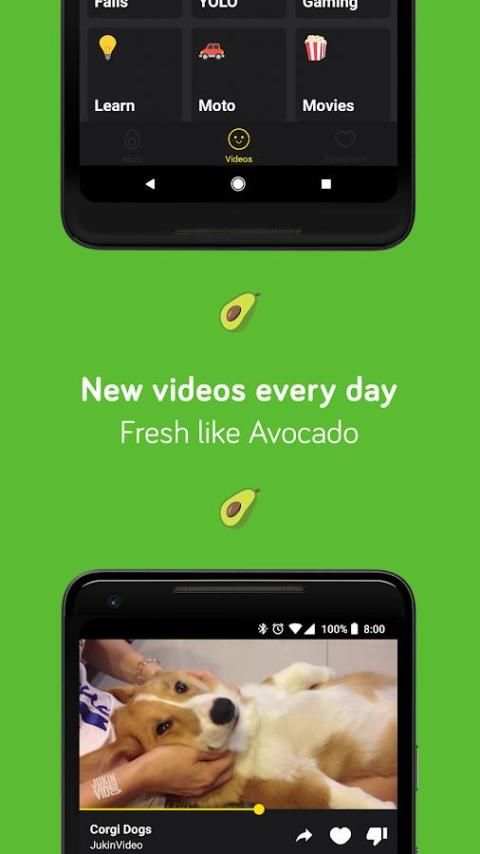 Videocado - fresh videos, daily! screenshot 2