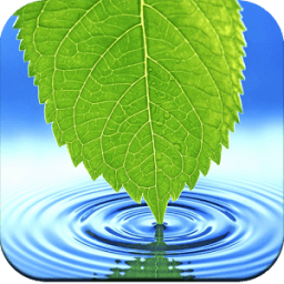4K Leaf wallpaper आइकन