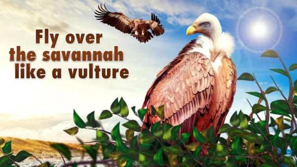 Vulture Simulator 3D - Scavenger Bird Hunting Sim स्क्रीनशॉट 4