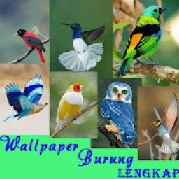 Wallpaper Burung Indah
