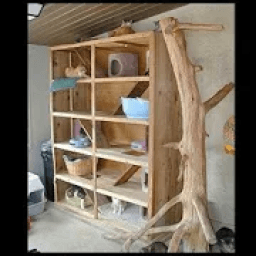 ikon Cage Cat Design