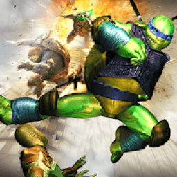 ikon Real Ninja Turtle Street Fighting Games 2018
