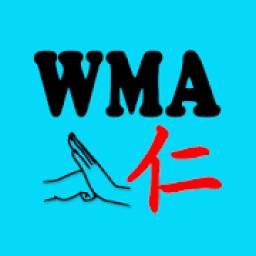 Wangs Martial Arts