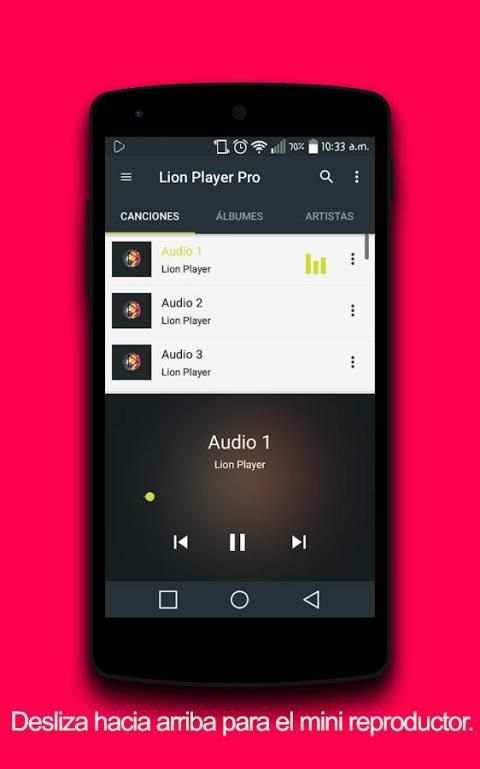 Lion Player PRO screenshot 8