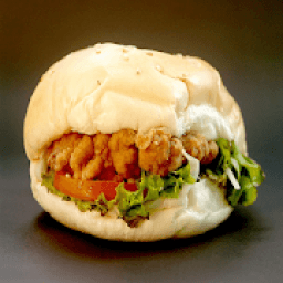 Veg Burger Recipes icon