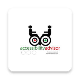 accessibility advisor icon