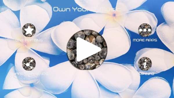 Own Your Dj Music - Dj Remixer screenshot 2