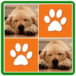 Dogs Memory Game 2