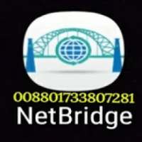 NetBridge VPN Agent on 9Apps